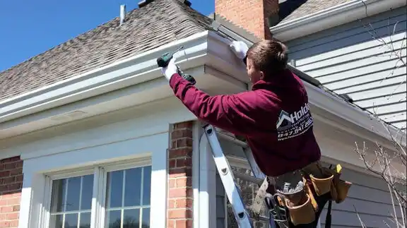 gutter services Josephville